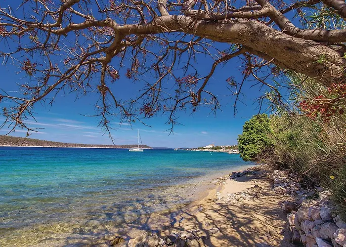 Cozy In アパート *